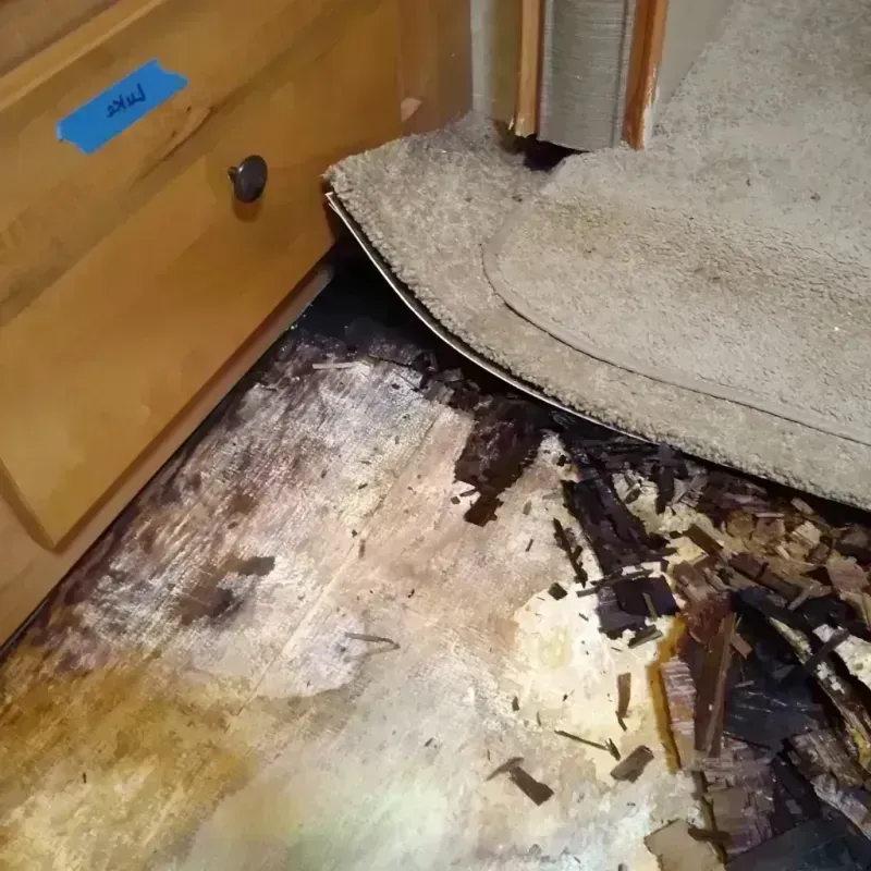 Wood Floor Water Damage in Freeport, IL